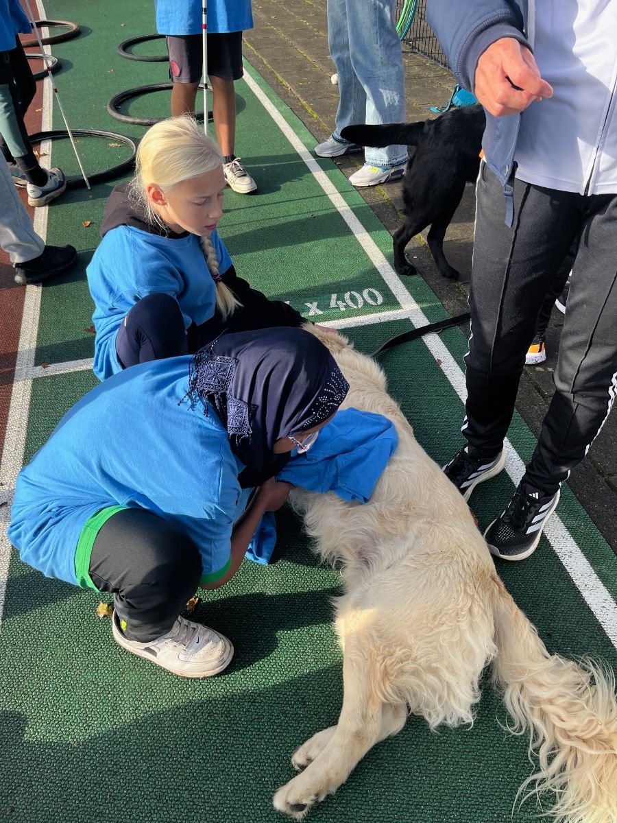 Foto van kinderen die een hulphond aaien